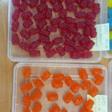 jan stuart - Samples of our gummies after batch manufacting run PHOTO-2020-06-07-12-31-04